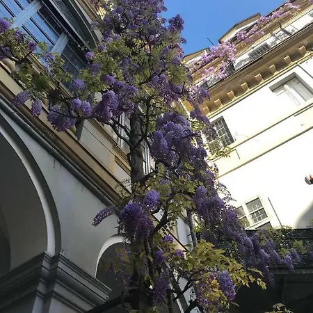 Acadamis - Cleopatra Lägenhet *