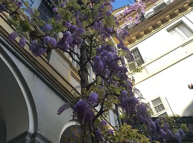 Acadamis - Cleopatra Appartement *